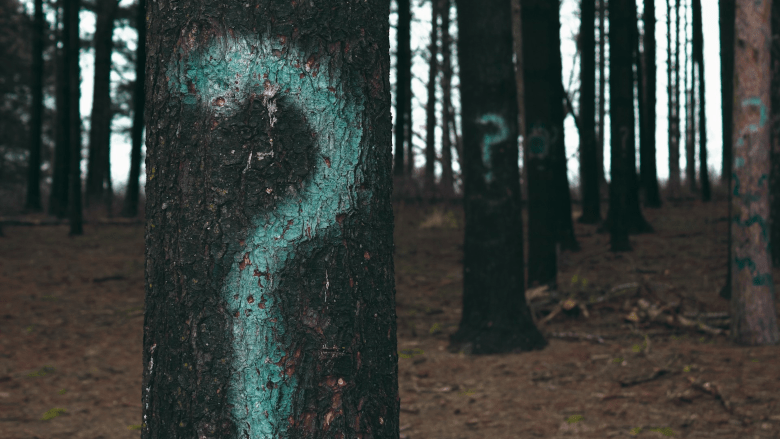 Top concern for 86% of cyber professionals is unknown cyber risks